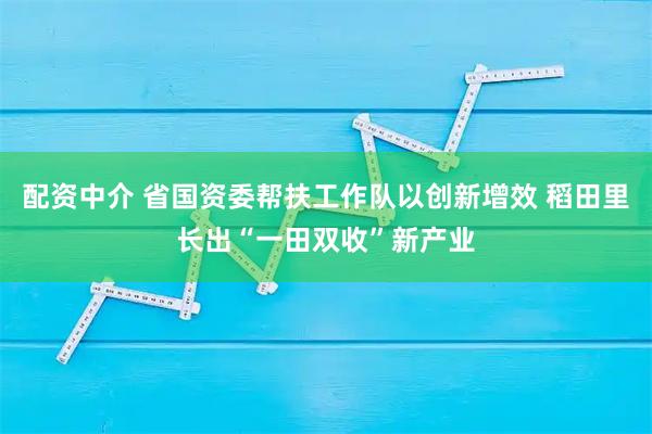 配资中介 省国资委帮扶工作队以创新增效 稻田里长出“一田双收”新产业